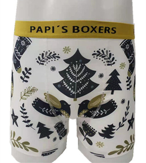 Men's printed comfortable boxers (02)