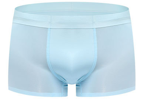 Modal men's frosted boxers