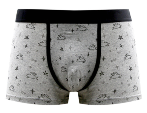 Men's printed boxer briefs