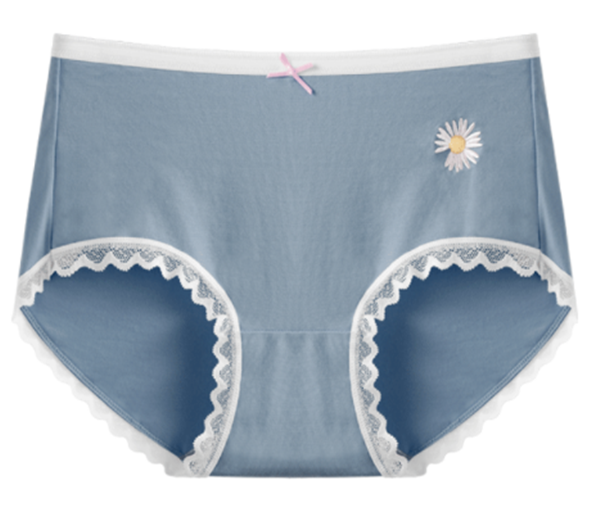 Lace lace cotton breathable underwear