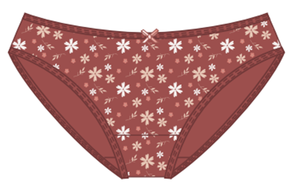 Women's comfortable dry briefs