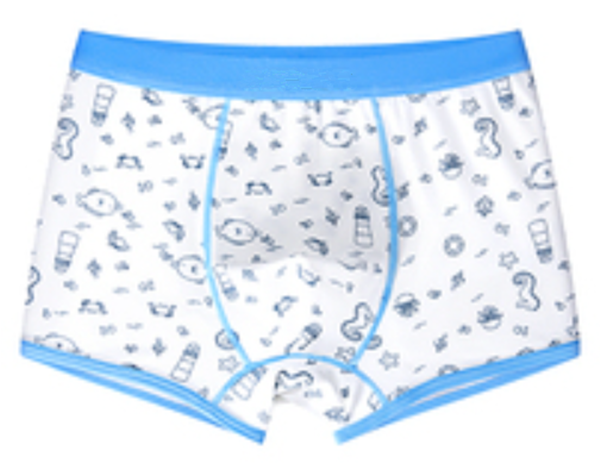 Boys dry moisture absorbent comfortable underwear