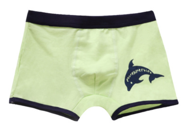 Boy's soft and comfortable cotton underwears