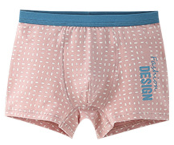 Soft comfortable and breathable boy's underwears (05)