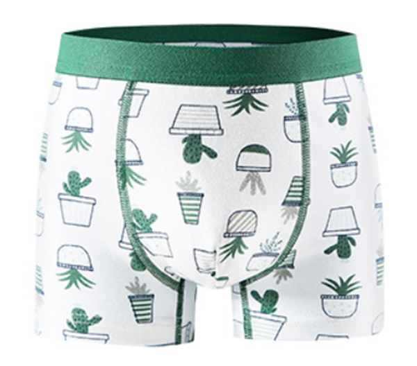 Cotton soft and comfortable boy's boxers