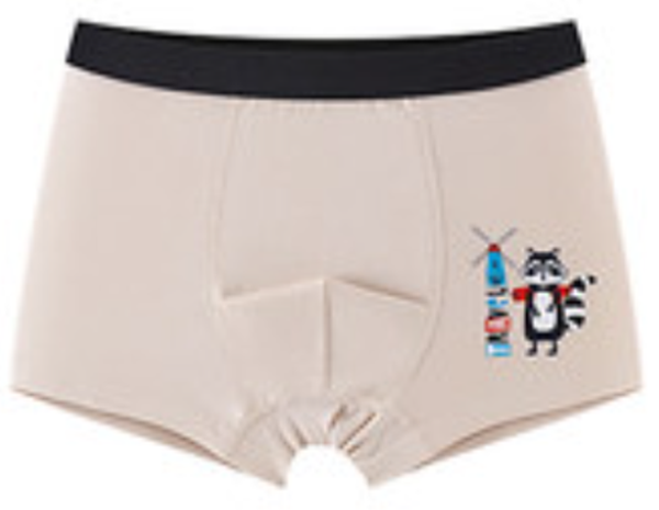 Pure cotton boy's underwear