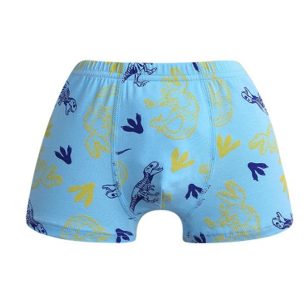 Boy's dinosaur printed underwear