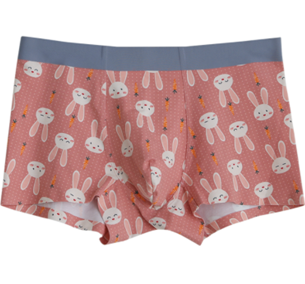 Printed men's underwear