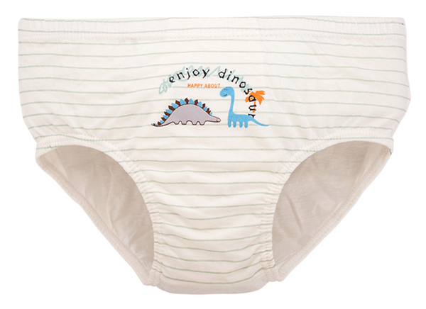 Boy's Cartoon Printed Briefs