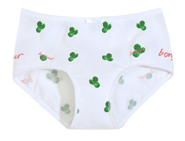 Girls cotton breathable cotton briefs (01)