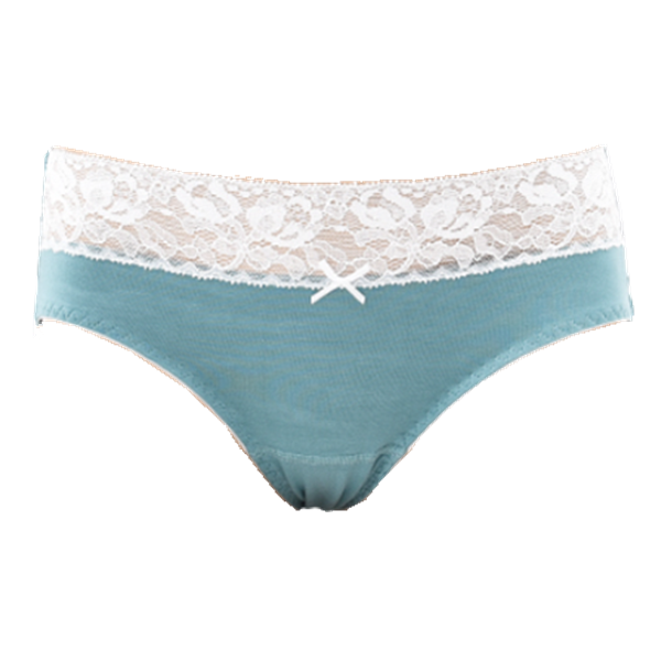 Women's high-waisted lace briefs 01