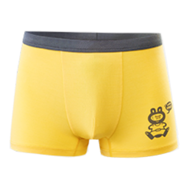 Boy's cotton breathable boxers